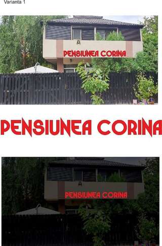 Гостевой дом Penisunea Corina Boutique Крайова-0